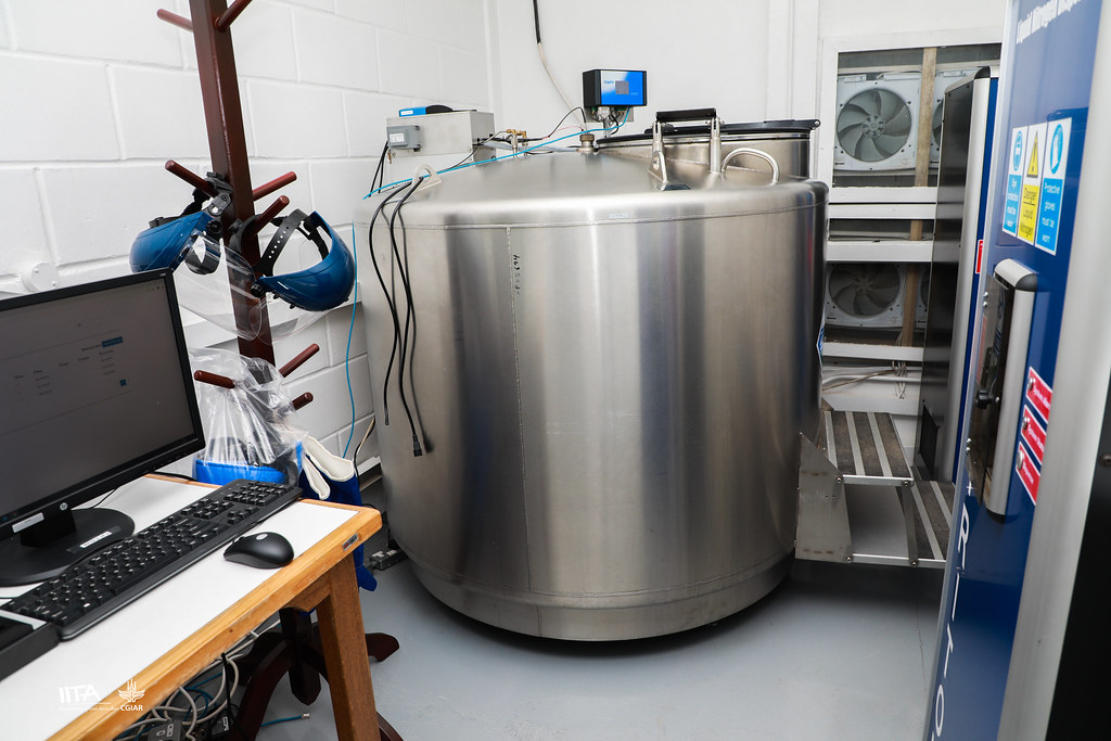 氣相液氮存儲系統(tǒng) 氣相液氮存儲系統(tǒng)